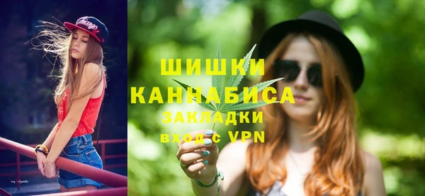 твердый Новозыбков