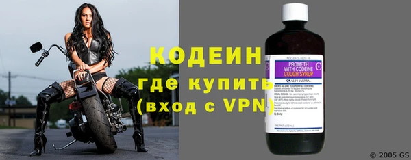 твердый Новозыбков