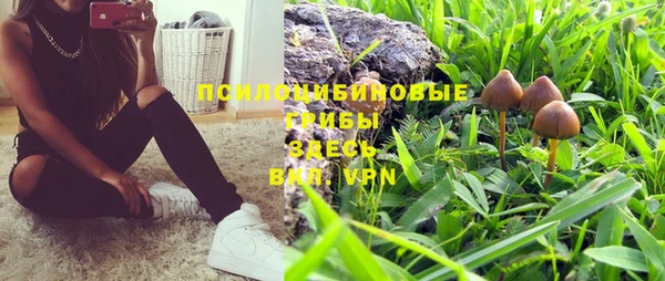 твердый Новозыбков