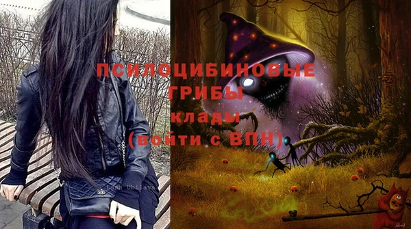 твердый Новозыбков