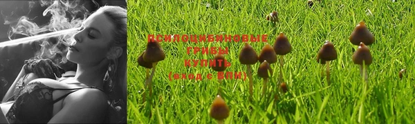 спиды Новокубанск