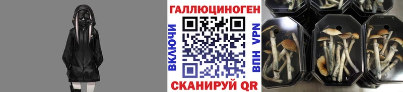 Галлюциногенные грибы Magic Shrooms  Приморско-Ахтарск 